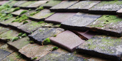 Chelmsford roof repair costs